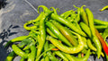 Jalapeño Green Paprika