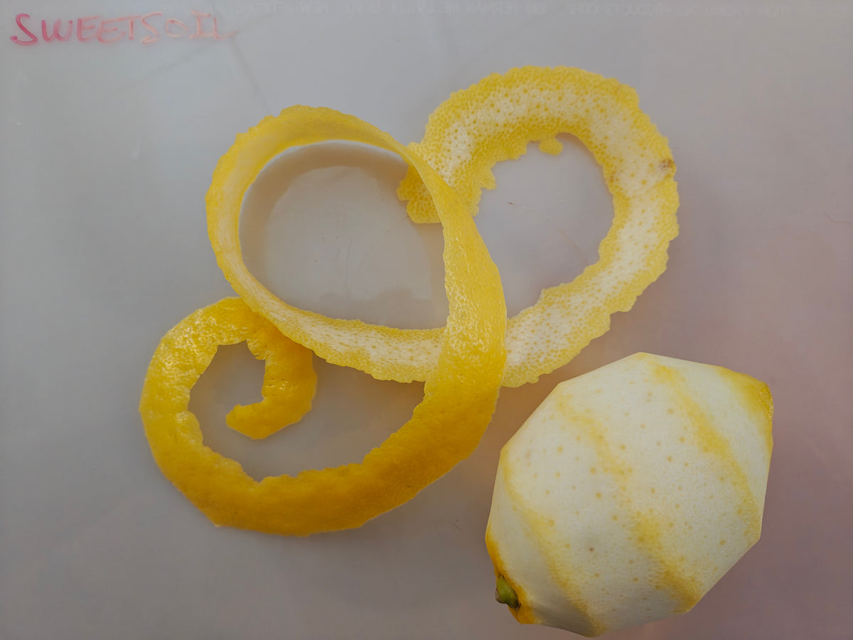 Citrus Flowers (Large)